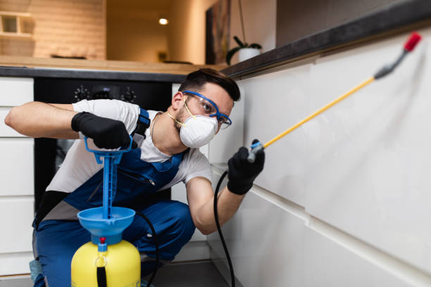 Best Insect Control  in Soda Springs, ID