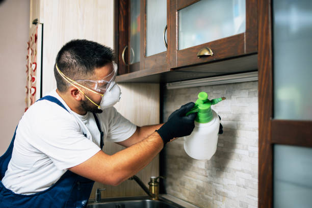 Best Pest Removal Services  in Soda Springs, ID
