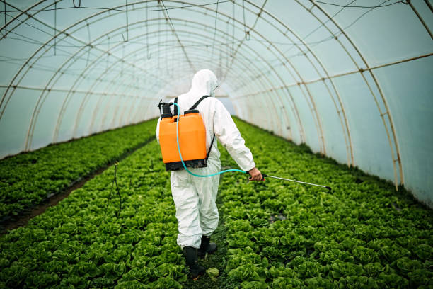 Best Pest Control Cost  in Soda Springs, ID