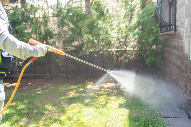 Best Affordable Pest Control Services  in Soda Springs, ID